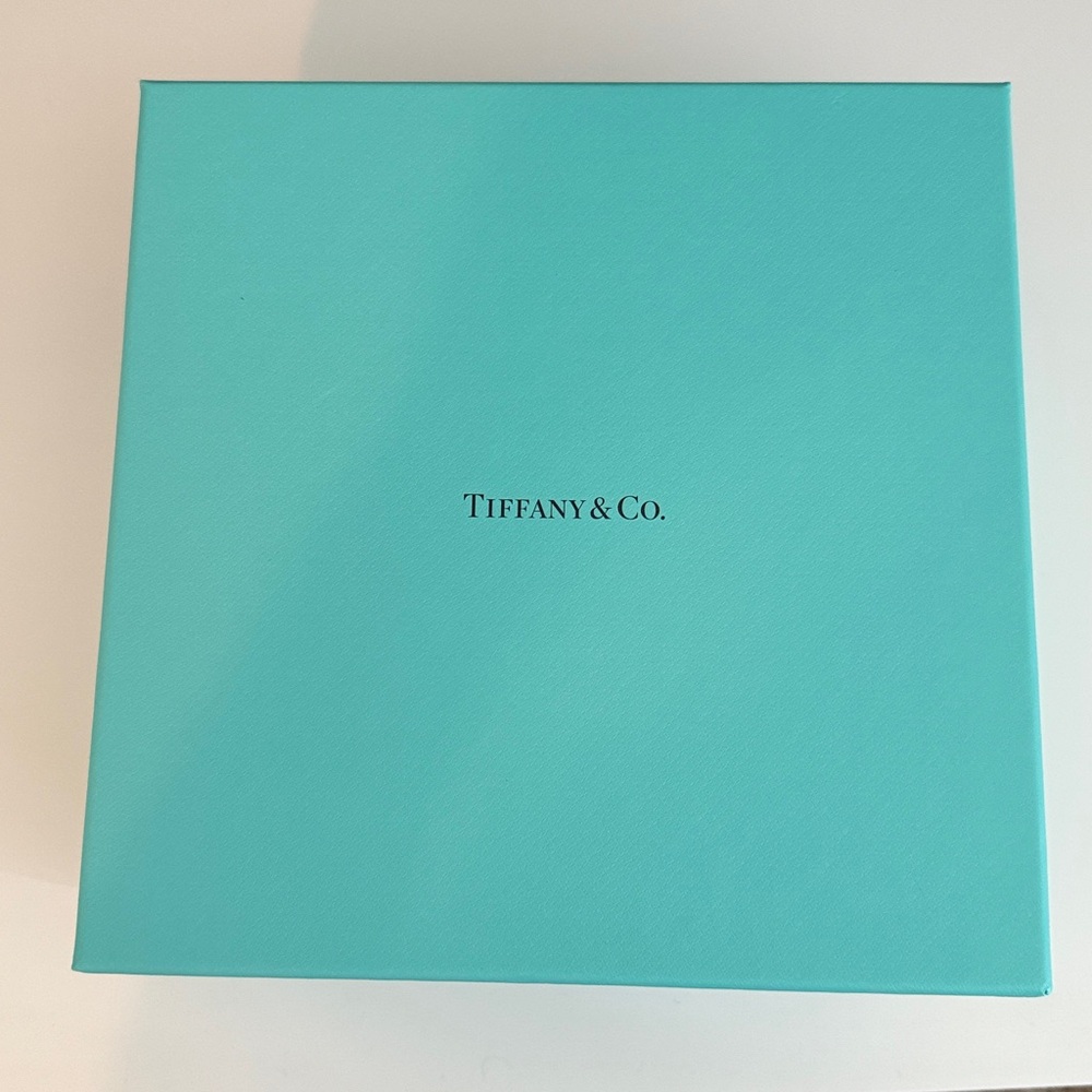 Tiffany & Co. Turquoise Gift Box
